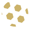 Xaviour